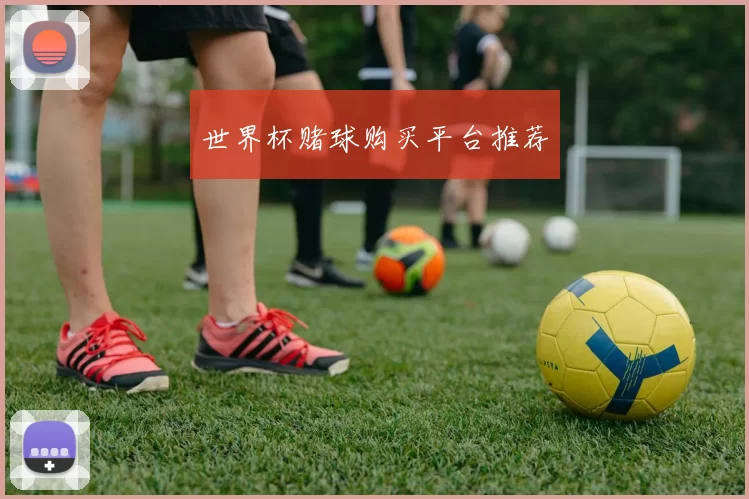 世界杯赌球购买平台推荐