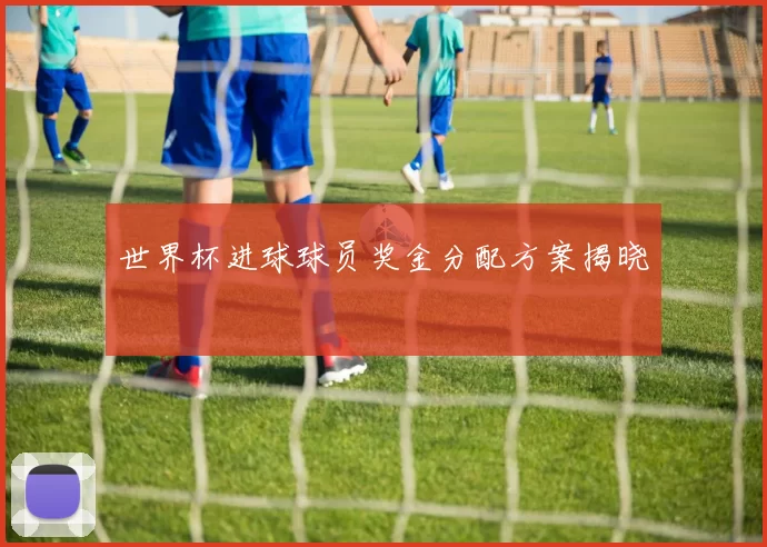 世界杯进球球员奖金分配方案揭晓