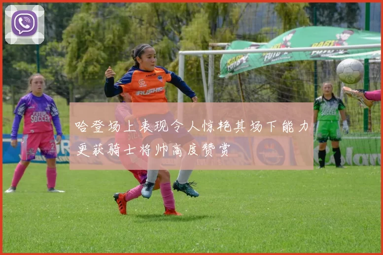 哈登场上表现令人惊艳其场下能力更获骑士将帅高度赞赏