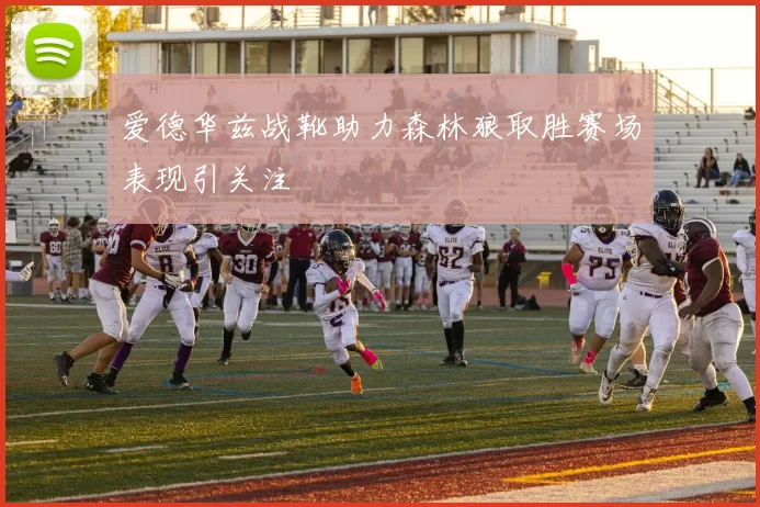 爱德华兹战靴助力森林狼取胜赛场表现引关注