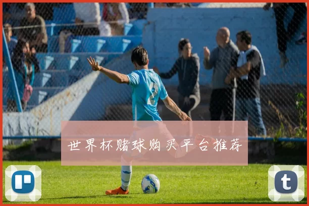 世界杯赌球购买平台推荐