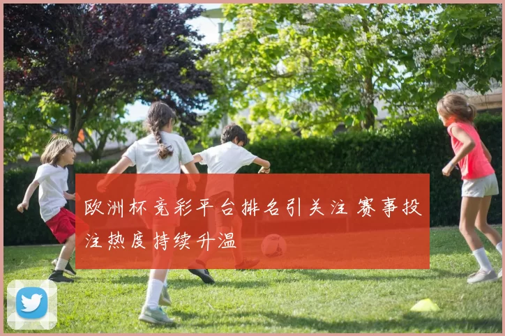 欧洲杯竞彩平台排名引关注 赛事投注热度持续升温