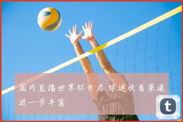 国内直播世界杯开启 球迷收看渠道进一步丰富
