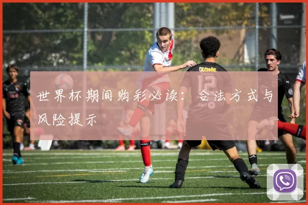 世界杯期间购彩必读：合法方式与风险提示