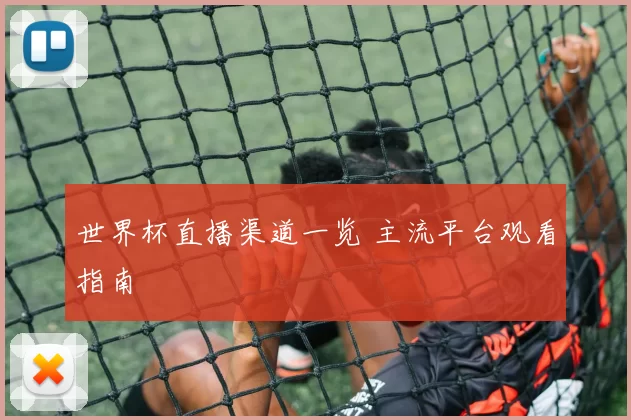 世界杯直播渠道一览 主流平台观看指南
