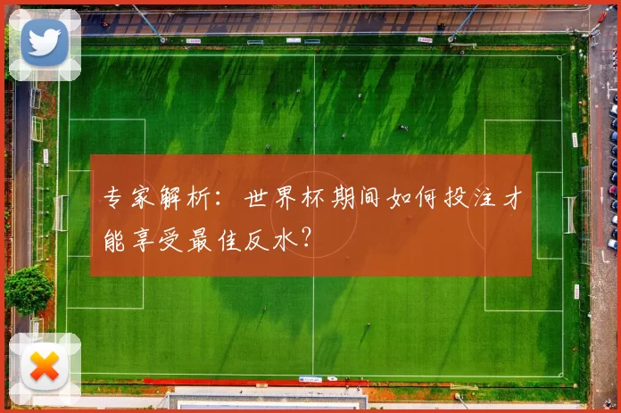 专家解析：世界杯期间如何投注才能享受最佳反水？