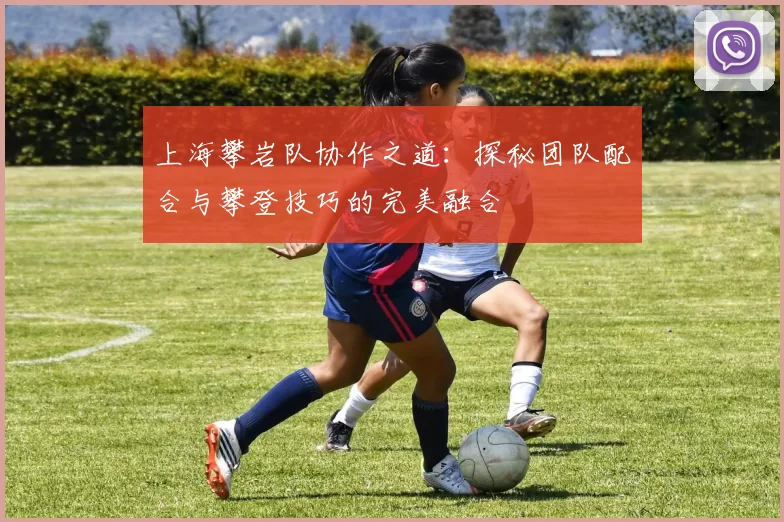 上海攀岩队协作之道:探秘团队配合与攀登技巧的完美融合