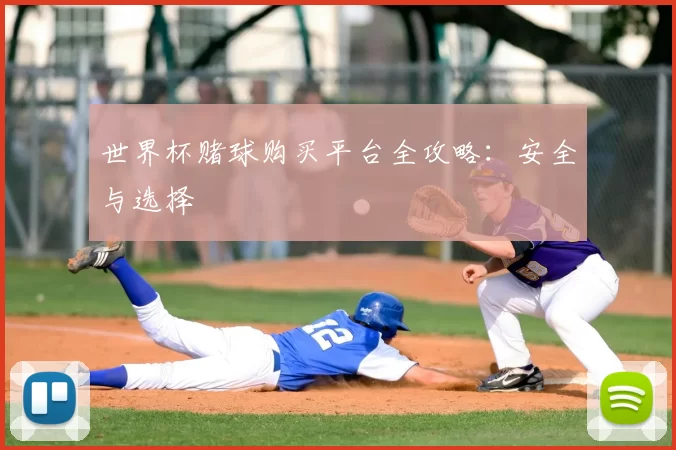 世界杯赌球购买平台全攻略：安全与选择