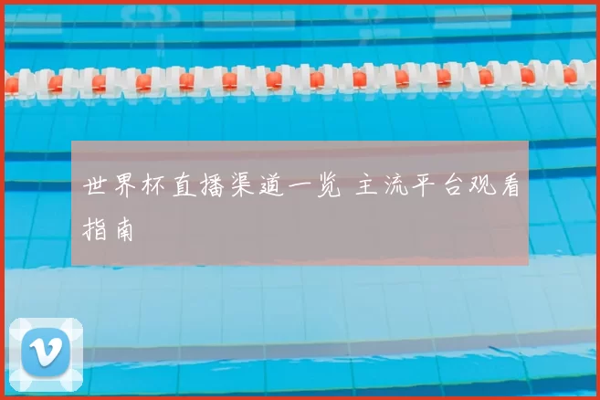 世界杯直播渠道一览 主流平台观看指南